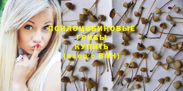 спайс Алексеевка