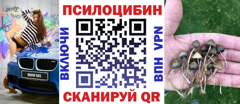 Псилоцибиновые грибы Psilocybine cubensis  цена   Добрянка 